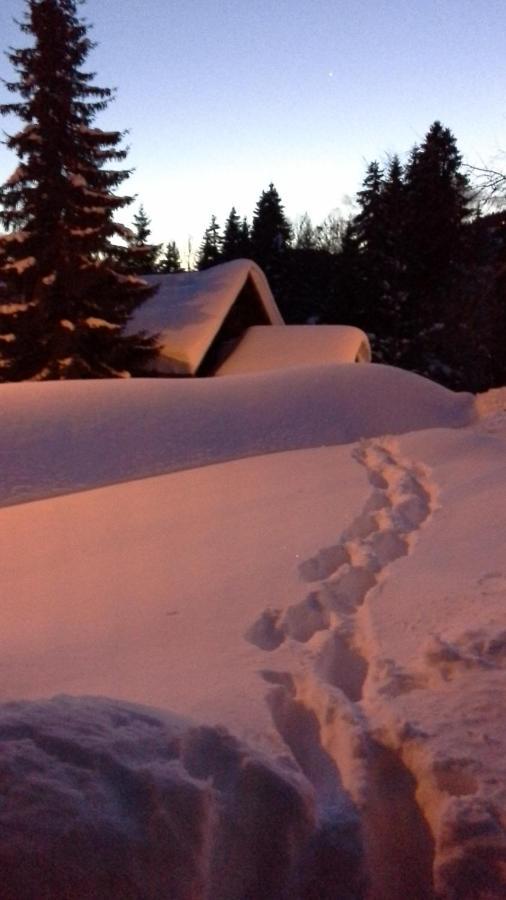 Chalet Camomille Les Gets Exterior photo